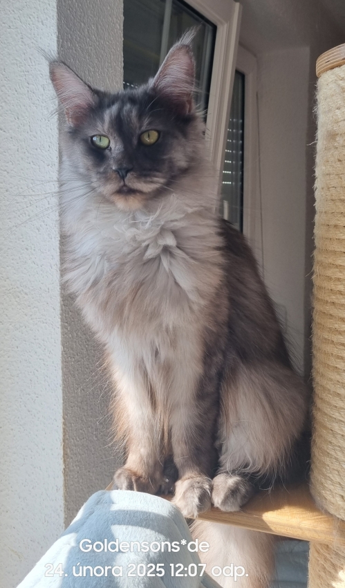 Diana