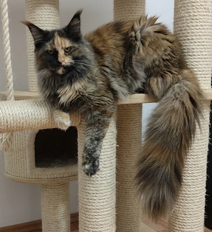 XANDRIA 3.jpg