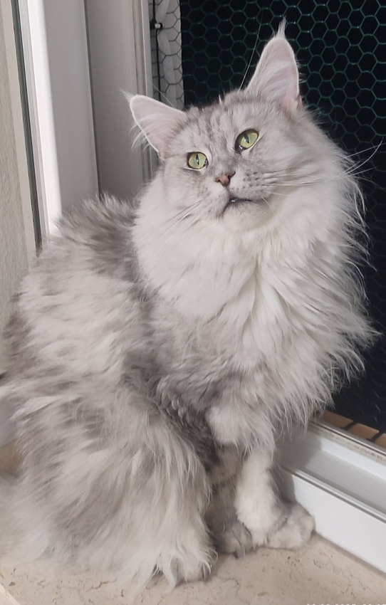 Debbie