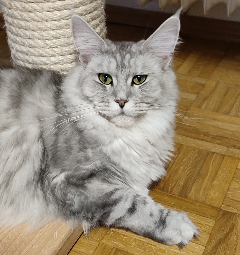 DEBIE 2.jpg