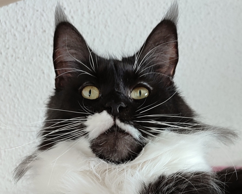 LEIDY 1.jpg